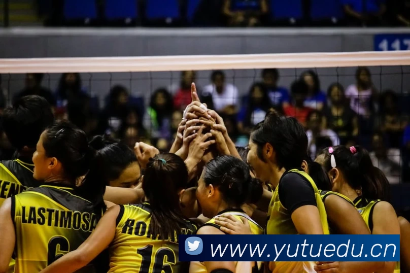 NG体育 - 创意平台,注册畅享文化之梦!服务体系